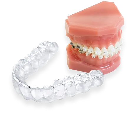 見た目と噛み合わせを改善する機能的な矯正歯科 Orthodontics